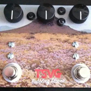 Guitar Pedal News: TSVG Babbling Flower