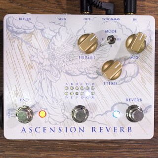 Epigaze Audio Ascension Reverb
