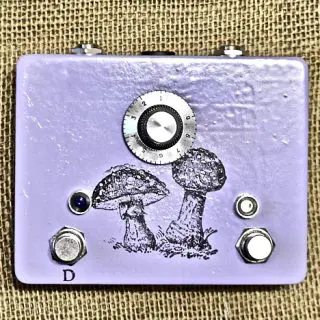 Seen at the BK Stompbox Exhibit 2018: Farm Agaric Phaser