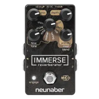 Neunaber Immerse Reverberator MkII