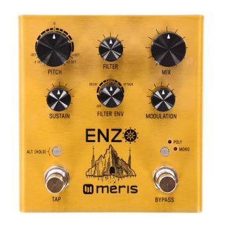 Meris Enzo is the Best Pedal of 2018 (according to the internet)
