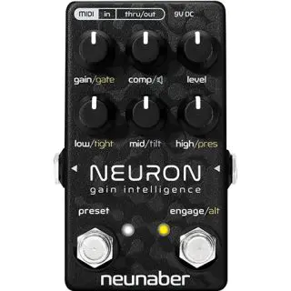 Neunaber Neuron Gain Intelligence