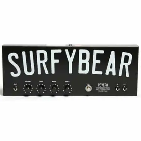 surfybear