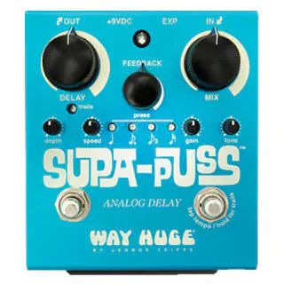 Way Huge Supa-Puss Analog Delay