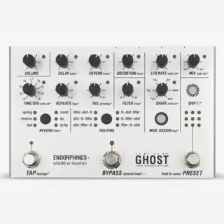 Endorphines Ghost Multi-Dimensional FX