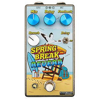 New Pedal: Summer School Spring Break Reverb