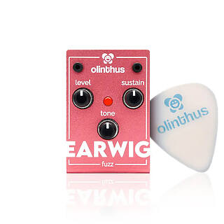 New Pedal: Olinthus Earwig Fuzz