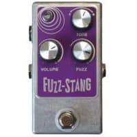 The WrightSounds Fuzz-Stang Comes To Brooklyn | Delicious Audio