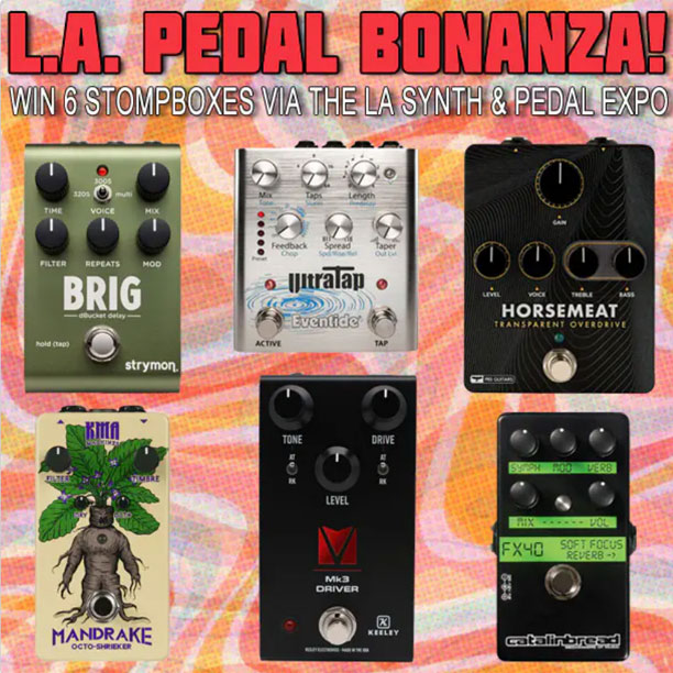 Win 6 Pedals Via The LA Synth & Pedal Expo Delicious Audio